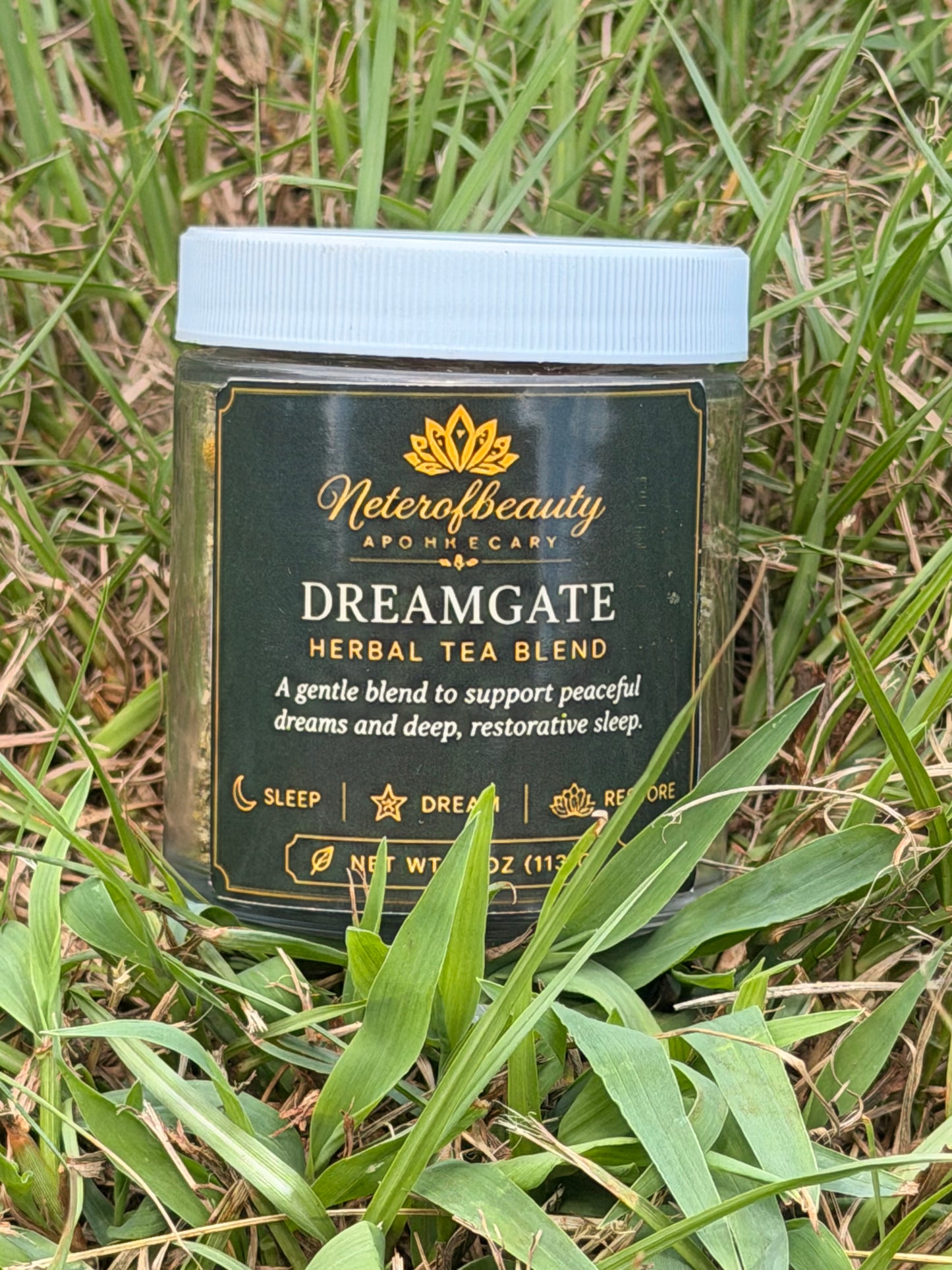 🌜Dreamgate Elixer