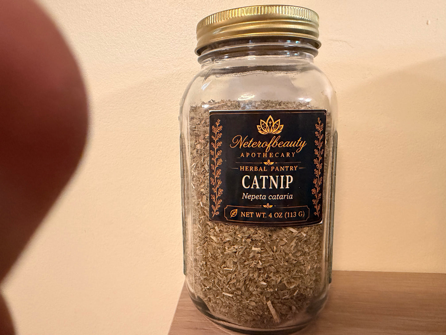 Catnip