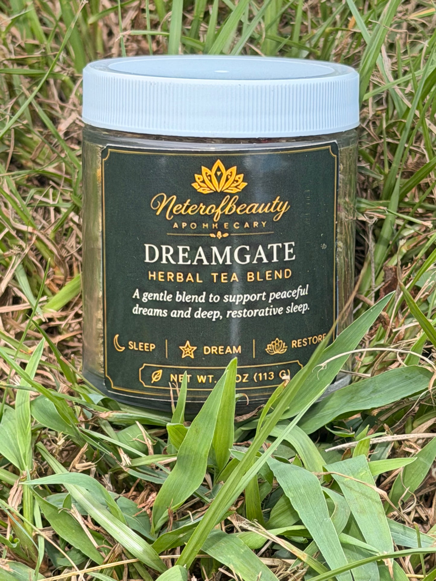 🌜Dreamgate Elixer