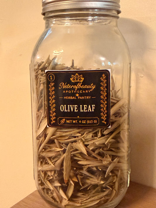 Olive Leaf