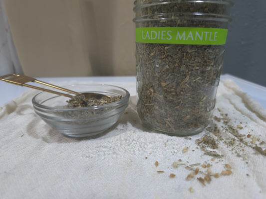 Ladies Mantle