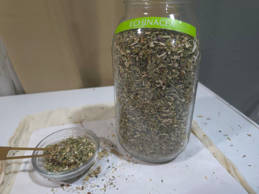 Echinacea Leaf